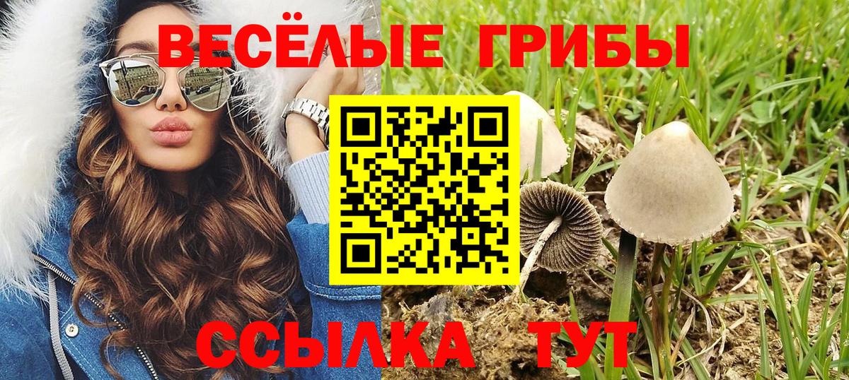 купить  цена  Псилоцибиновые грибы Psilocybine cubensis  Снежинск  Вход с VPN  Галлюциногенные грибы ЛСД 
